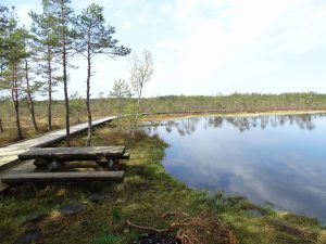 Uz kuru Latvijas vietu doties brīvdienās?
